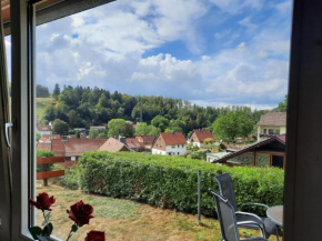 FeWo mit Terrasse für 4-5 Personen mit Schwimmbad + Sauna